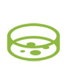 Petri dish