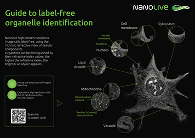 Organelle guide poster