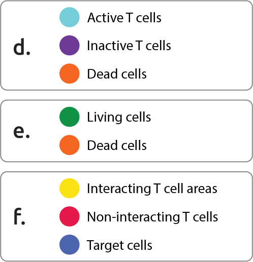 Digital staining legend
