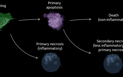 Cell Health and Stress Application Note